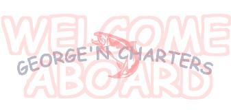 Welcome aboard George'N Charters - salmon & trout fishing on Georgian Bay!